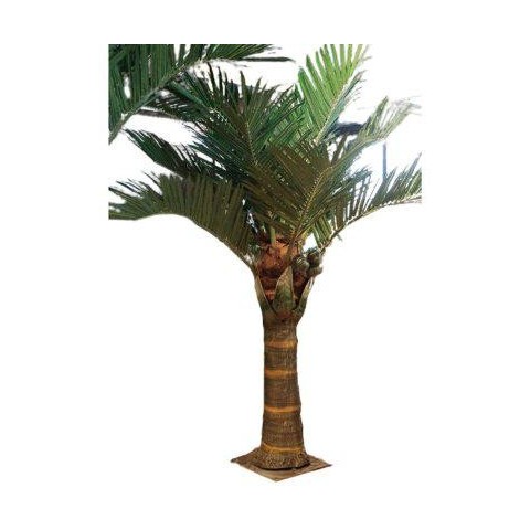 PIANTA COCCO 3MT ESTERNO